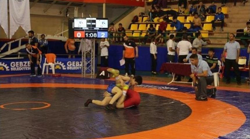 Minikler G&uuml;reş&ccedil;iler Gebze&rsquo;de Mindere &Ccedil;ıkıyor