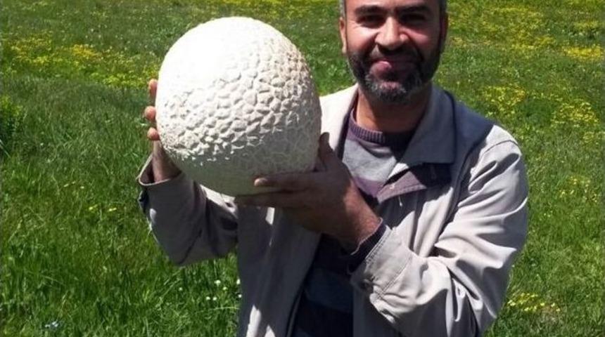 Futbol Topu B&uuml;y&uuml;kl&uuml;ğ&uuml;ndeki Mantar Şaşırttı