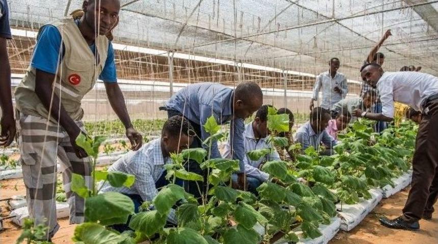 Tika&rsquo;dan Somali Anadolu Ziraat Fak&uuml;ltesine Kapasite Desteği