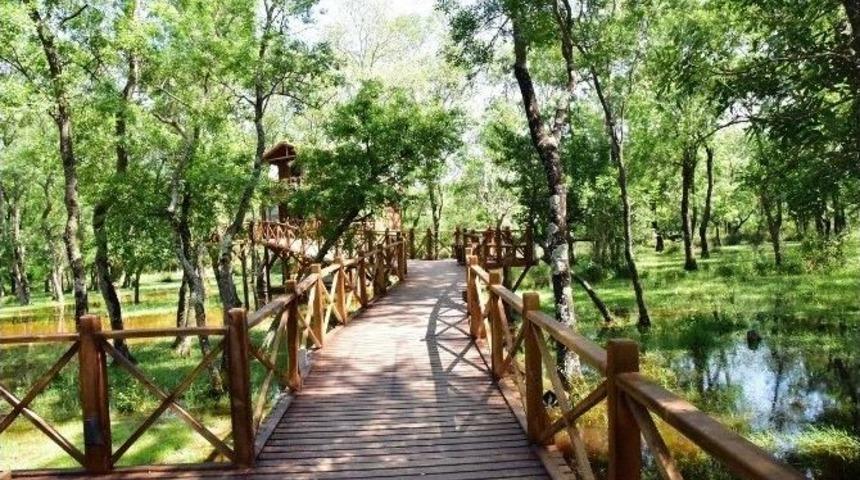 Kuş Cenneti D&uuml;nya &Ccedil;evre G&uuml;n&uuml;&rsquo;ne Ev Sahipliği Yapacak