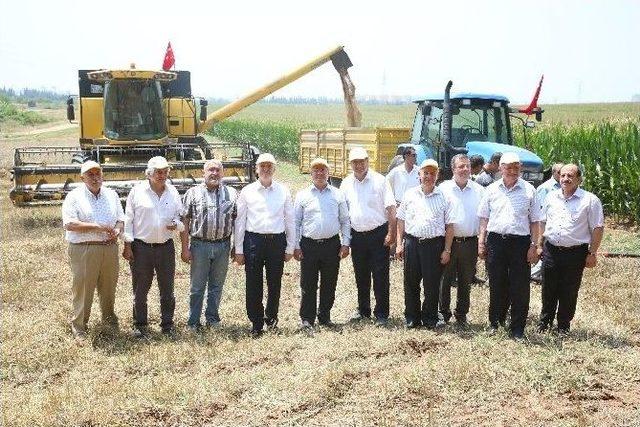 Çukurova’da Buğday Çiftçinin Yüzünü Güldürdü