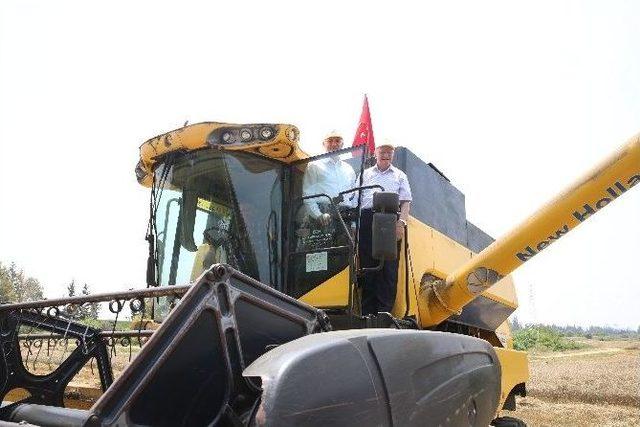 Çukurova’da Buğday Çiftçinin Yüzünü Güldürdü