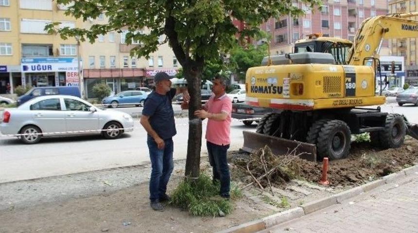 Kdz. Ereğli&rsquo;de Tek Kişilik Ağa&ccedil; Eylemi