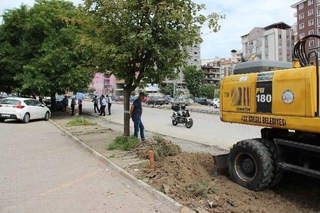 Kdz. Ereğli’de Tek Kişilik Ağaç Eylemi