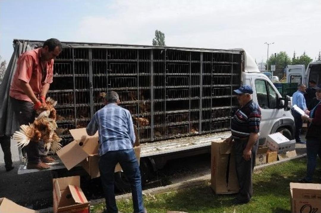 &Ccedil;ift&ccedil;ilere Organik &Uuml;retim Teşviki