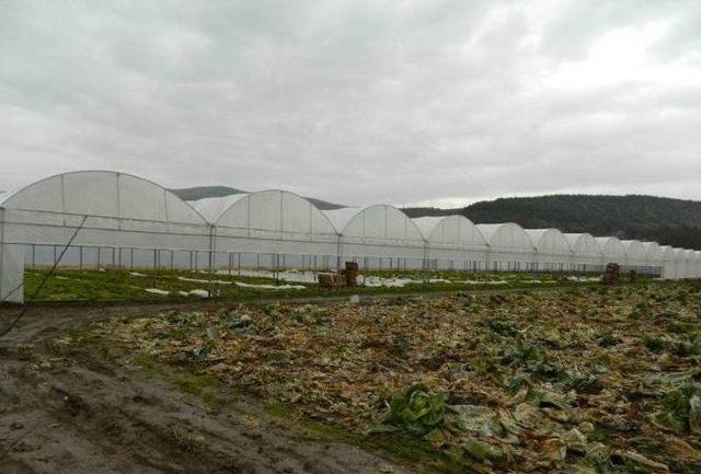 Orman Ve Su İşleri Bakanlığı’ndan Orman Köylülerine Destek