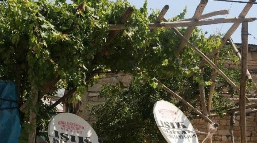 Havuşlu Evlerde Asma Geleneği Asırlardır Yaşatılıyor