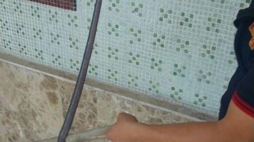 Camiye Giren Yılan Korkuttu