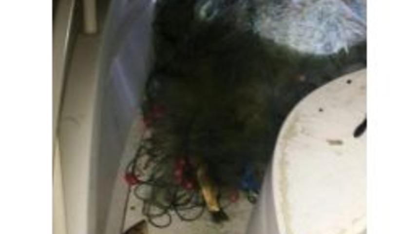 İznik G&ouml;l&uuml;nde Ka&ccedil;ak Avlanan Balık&ccedil;ılara Ait 5,5 Kilometre Ağ Ele Ge&ccedil;irildi