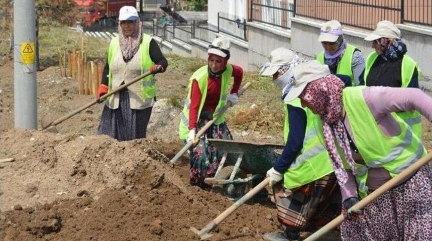 Otogar&rsquo;da &Ccedil;evre D&uuml;zenlemesi
