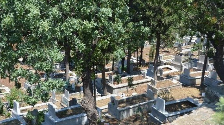 Bilecik Belediyesi Mezarlık Bilgi Sistemine Büyük İlgi