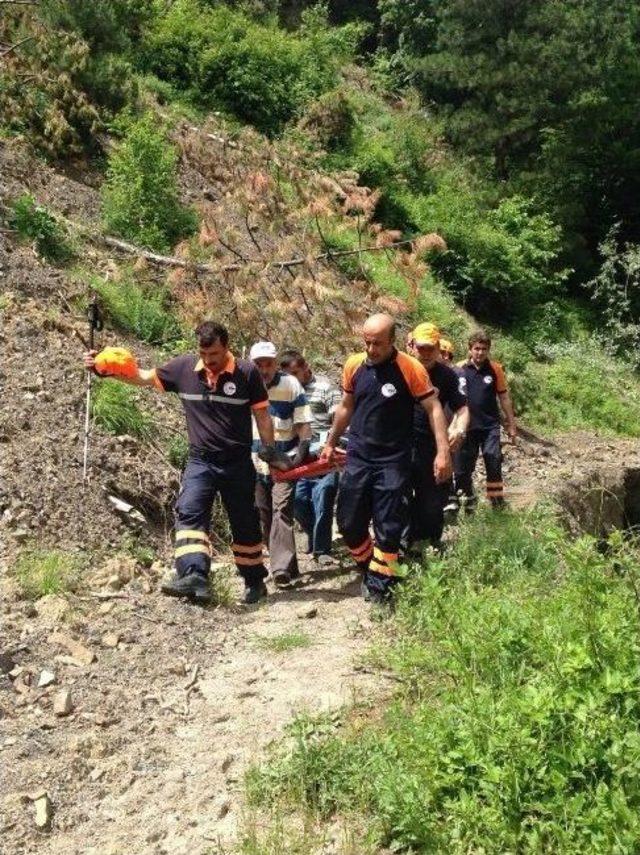 Yaşlı Adam Ormanda 30 Saat Sonra Sağ Bulundu