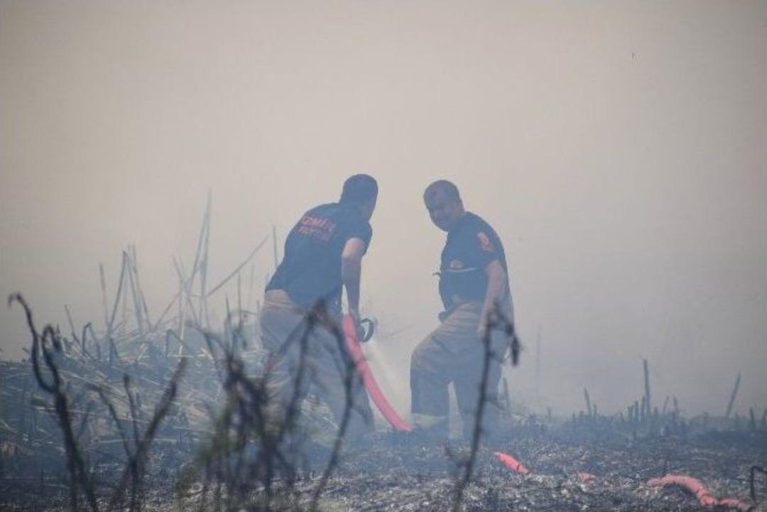 Sazlık Alanda Yangın &Ccedil;ıktı