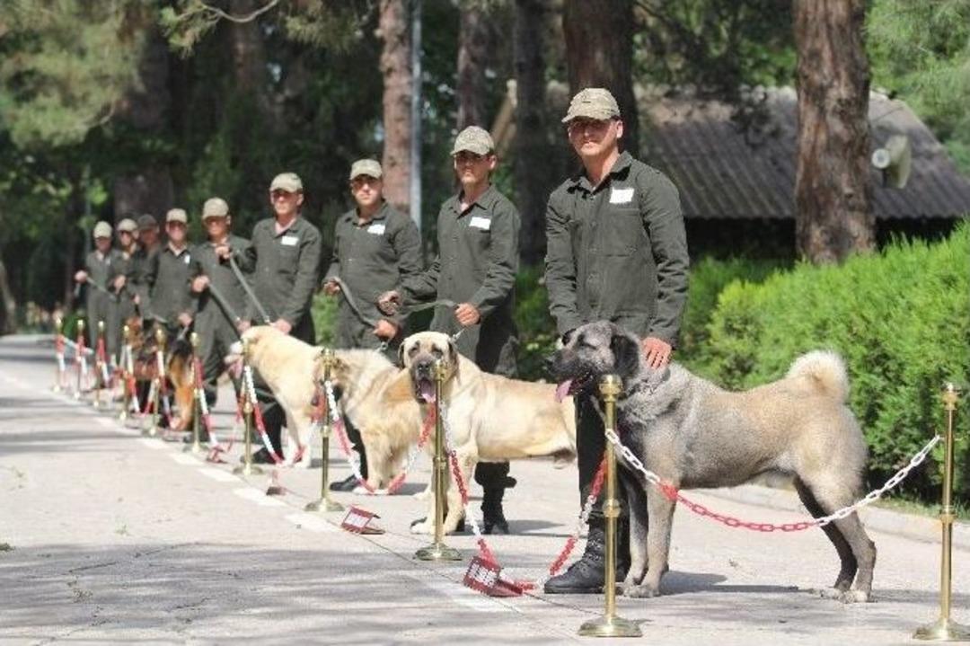 Tsk&rsquo;nın G&ouml;r&uuml;nmez Kahramanlarından Nefes Kesen G&ouml;steri