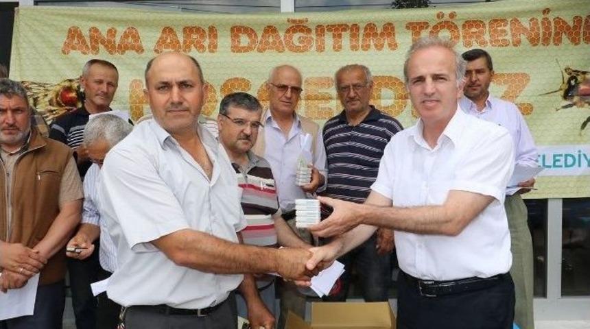 Arı Yetiştiriciliği B&uuml;y&uuml;kşehirle Hayat Buluyor