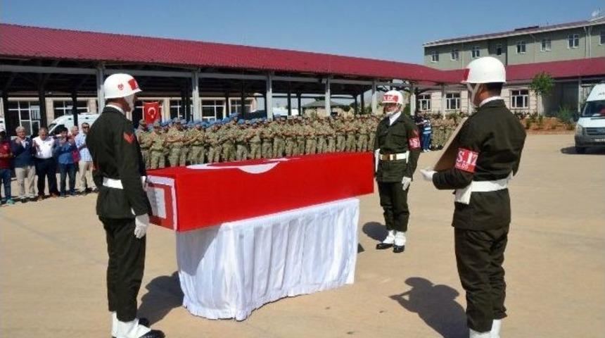 Nusaybin Şehidi Memleketine Uğurlandı