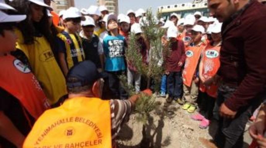 Yenimahalle Yeşile Doymuyor