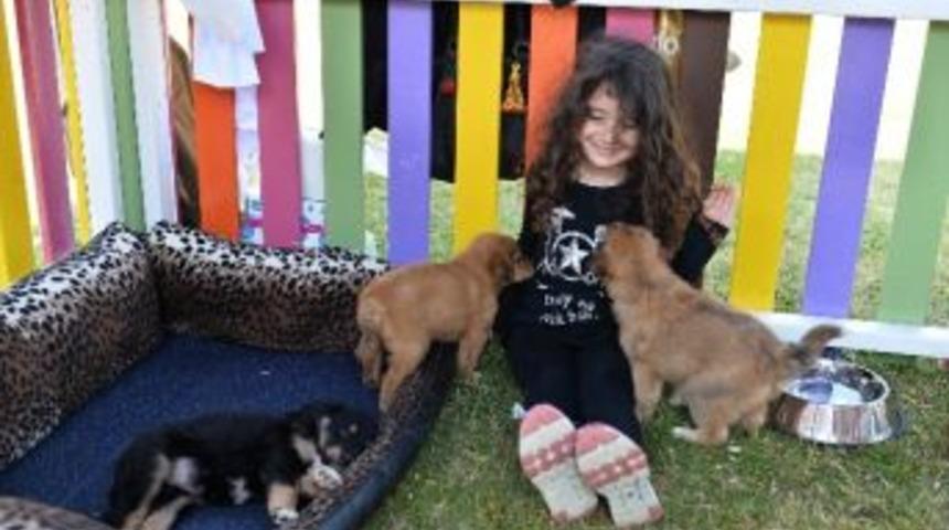 Muratpaşa&rsquo;da Sokak Hayvanları Sahiplendirme Festivali