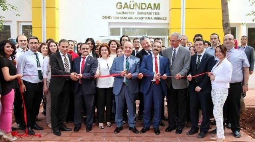 Ga&uuml;n&rsquo;e Araştırma Merkezi