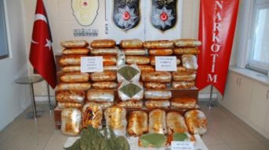 Sal&ccedil;a Ve Hayvan Dışkısı İle Saklanan Zulada 300 Kilo Esrar Yakalandı