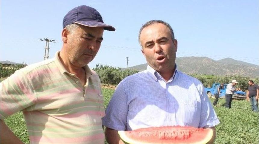 Salihli&rsquo;de &rsquo;karpuz&rsquo; Tepkisi