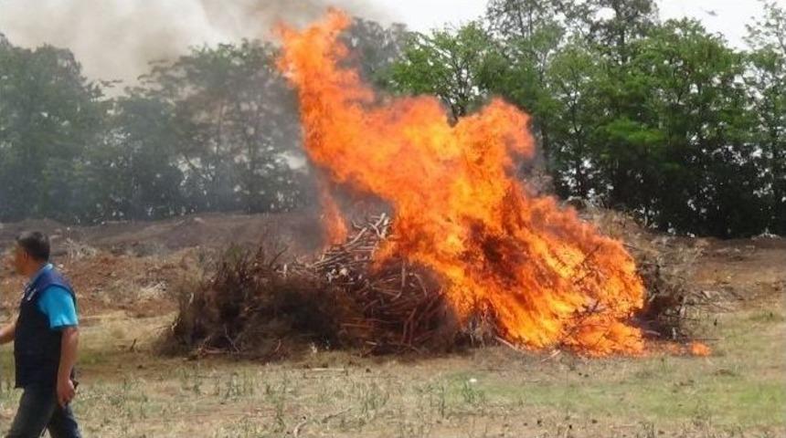 Hatay&rsquo;da Orman Yangın Tatbikatı