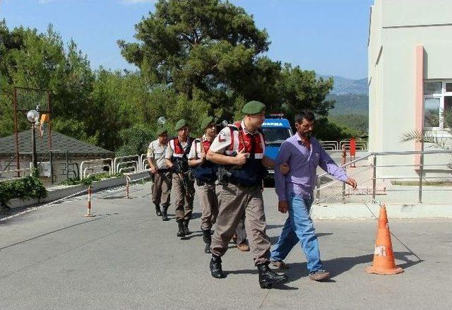 Tarım İşçisi Kılığında 7 Ypg Ve Pyd Üyesi Yakalandı