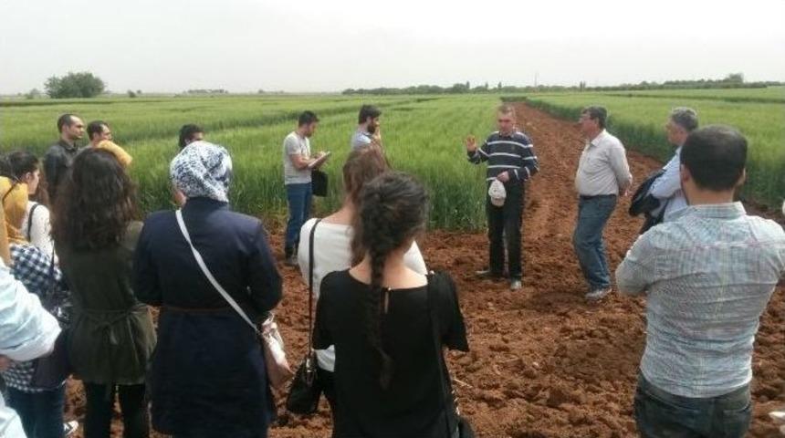 Hr&uuml; Ziraat Fak&uuml;ltesi &Ouml;ğrencilerinden Harran Ovası Teknik Gezisi
