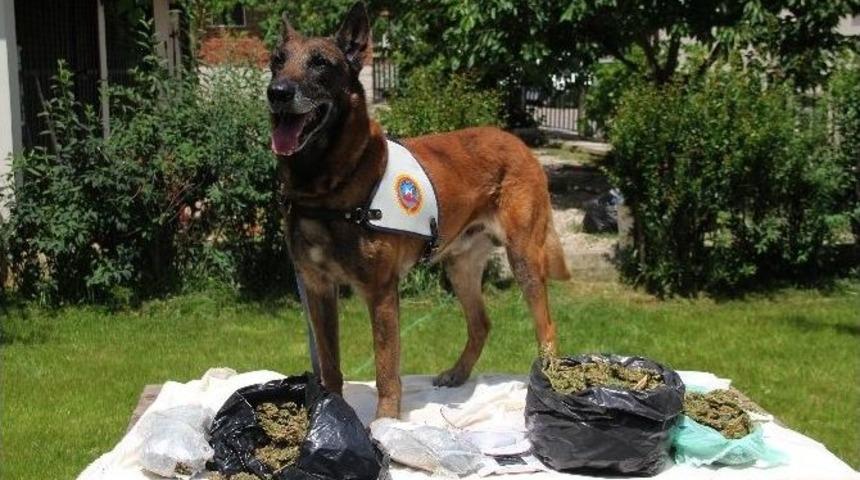 Bursa&rsquo;da Uyuşturucu Operasyonu