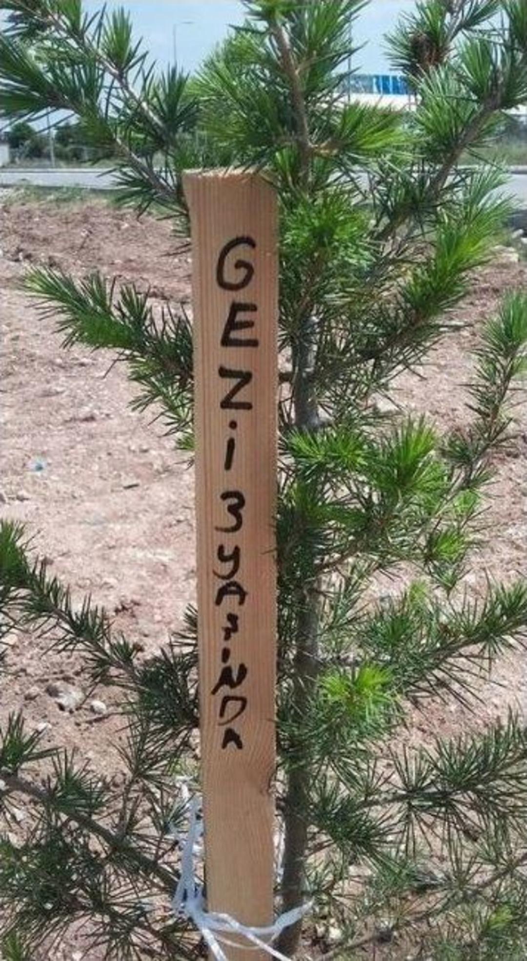 Gezi&rsquo;de Yaşamını Yitirenler Odunpazarı&rsquo;nda Yaşıyor