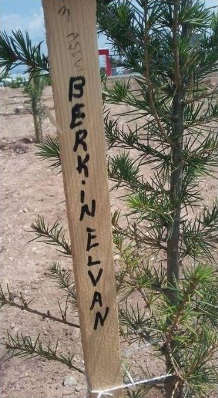 Gezi’de Yaşamını Yitirenler Odunpazarı’nda Yaşıyor G2