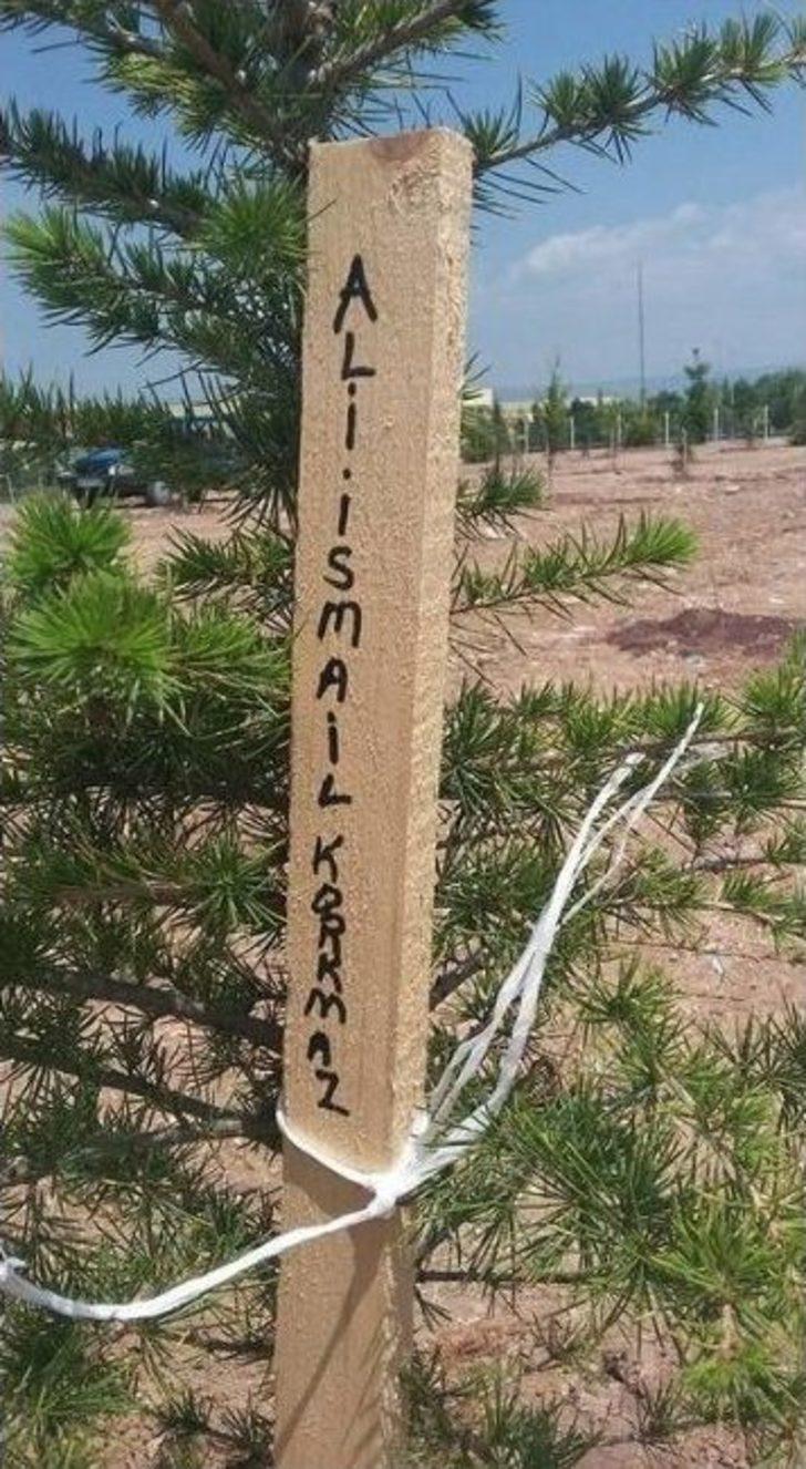 Gezi’de Yaşamını Yitirenler Odunpazarı’nda Yaşıyor G3