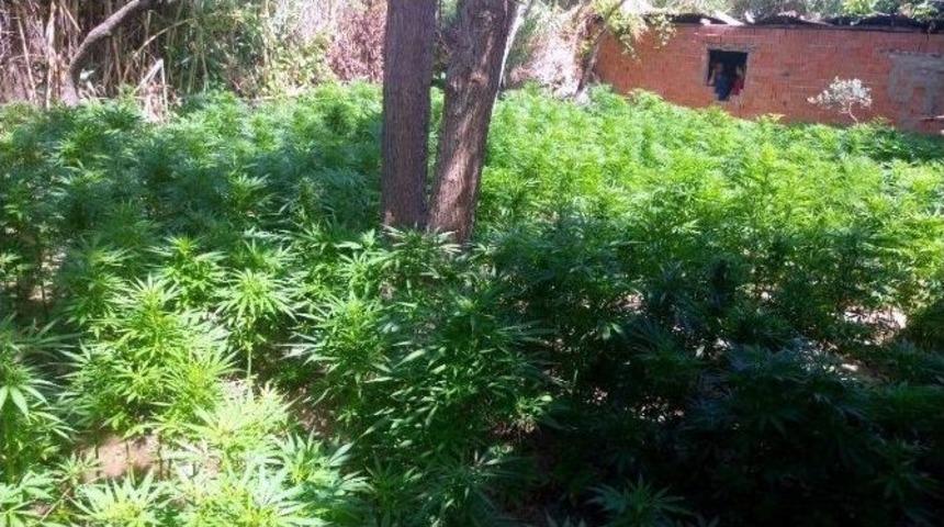 Evini Kenevir Bah&ccedil;esine &Ccedil;eviren Şahıs Tutuklandı