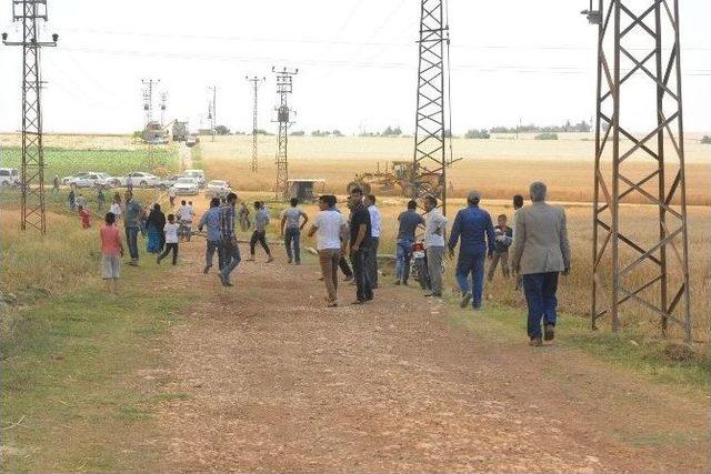 Şanlıurfa’da 90 Dönümlük Ekili Arazi Kül Oldu