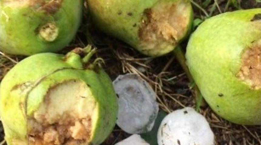 Bursa&rsquo;da &Ccedil;ift&ccedil;iye Dolu Şoku