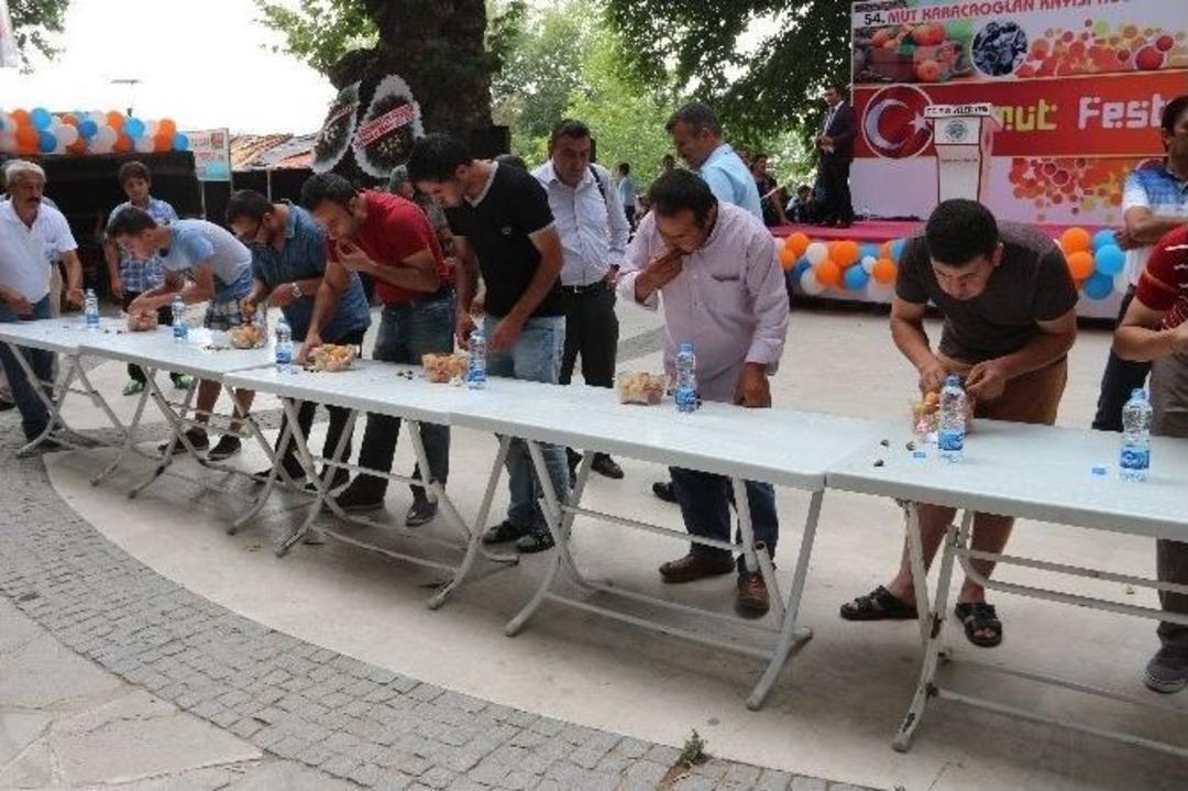 Mut Karacaoğlan Kayısı K&uuml;lt&uuml;r Ve Sanat Festivali &Ccedil;eşitli Etkinliklerle Başladı