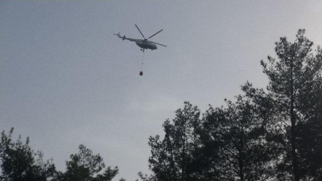 Hatay&rsquo;da Orman Yangını