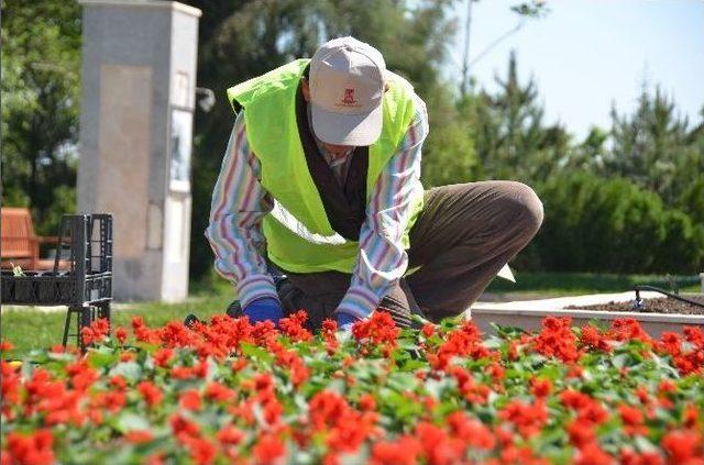 Bilecik Belediyesi’ne ’’en Güzel Kamu Kurumu Bahçesi’’ Ödülü