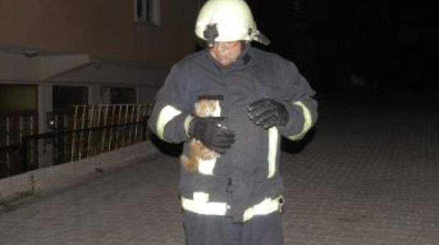 Ağaçta Mahsur Kalan Kediyi İtfaiye Kurtardı