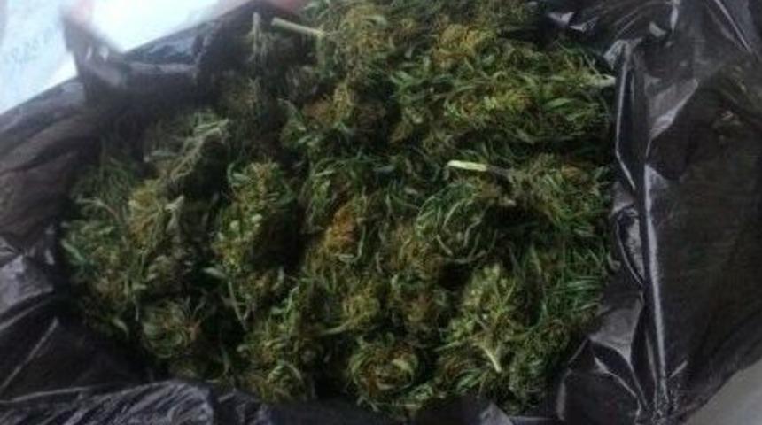 Jandarma Zehir Tacirlerine Ge&ccedil;it Vermedi