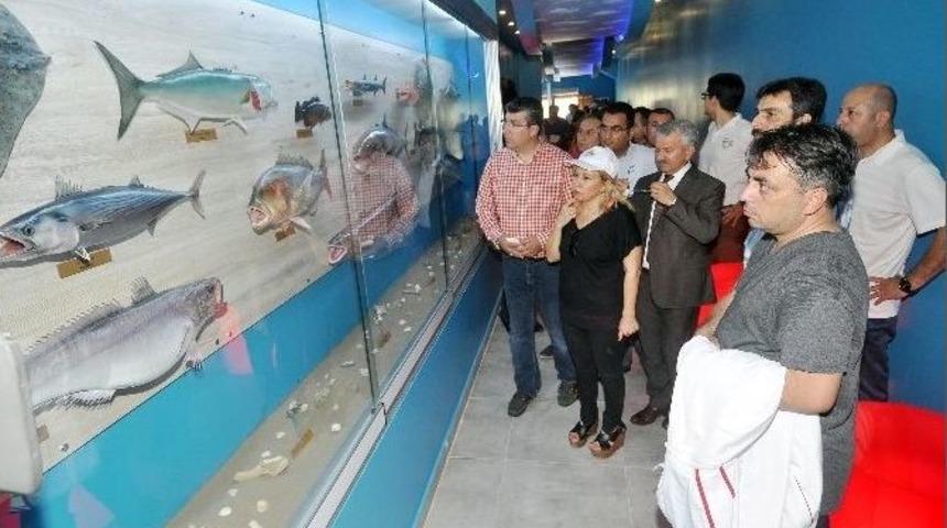 T&uuml;rkiye&rsquo;nin İlk Balık Replika M&uuml;zesi Adana&rsquo;da A&ccedil;ıldı