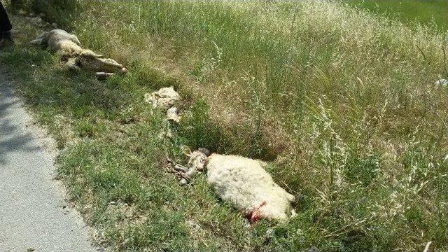 Uşak’ta Meydana Gelen Kaza 5 Cana Mal Oldu 1