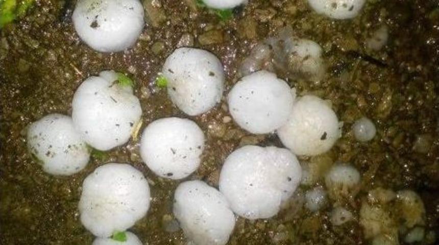 Ayvacık&rsquo;a Ceviz B&uuml;y&uuml;kl&uuml;ğ&uuml;nde Dolu Yağdı