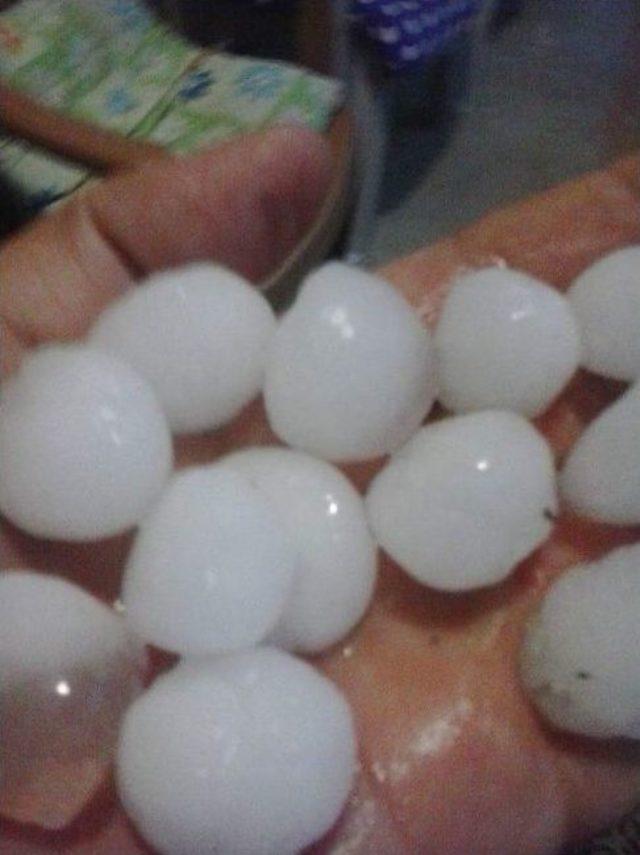 Ayvacık&rsquo;a Ceviz B&uuml;y&uuml;kl&uuml;ğ&uuml;nde Dolu Yağdı 1