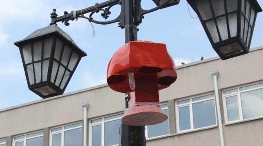 Aydınlatma Direkleri Sinekleri Savacak