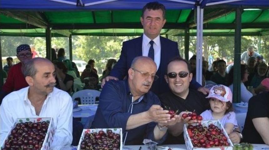 İznik Kirazı G&ouml;r&uuml;c&uuml;ye &Ccedil;ıktı