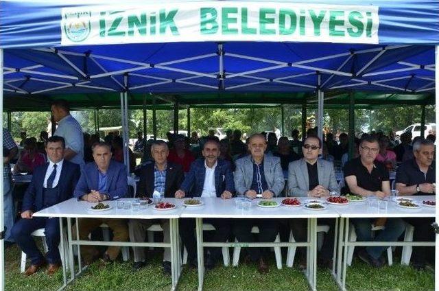 İznik Kirazı Görücüye Çıktı