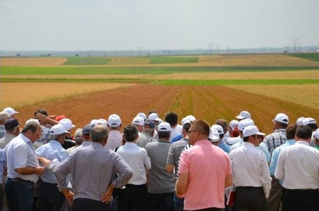 Buğday Ve Arpa &Ccedil;eşit Demonstrasyonu Tarla G&uuml;n&uuml; D&uuml;zenlendi