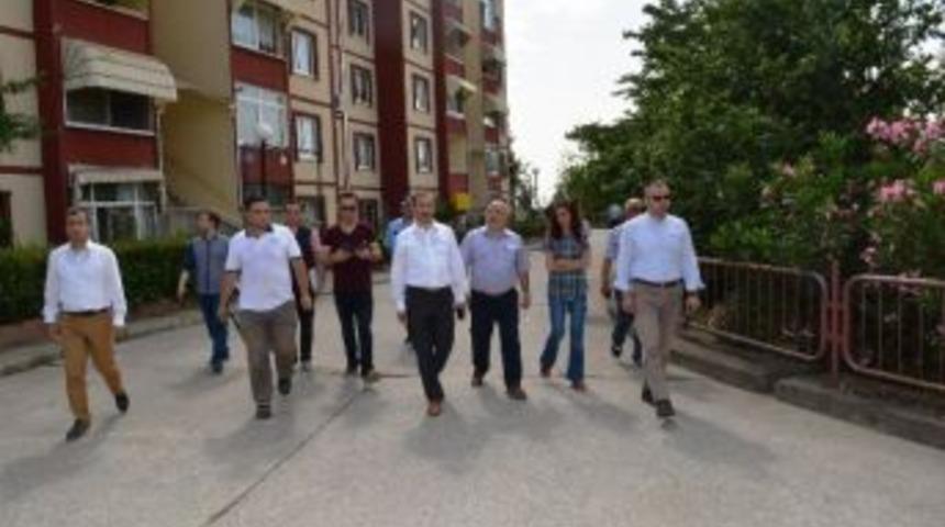 Akarca&rsquo;da İnceleme Gezisi