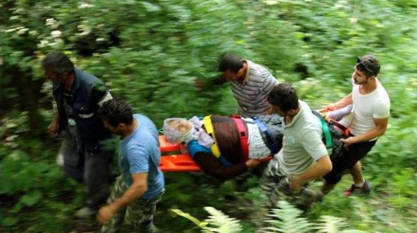 El Frenini &Ccedil;ekmeyi Unuttuğu Ara&ccedil; Dereye U&ccedil;tu: 2 Yaralı